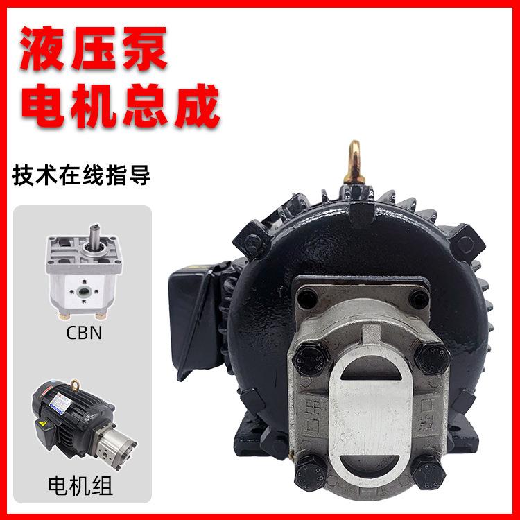 液压油泵电机组CBN+1.5KW2.2KW液压泵总成内轴电机液压站配件系统