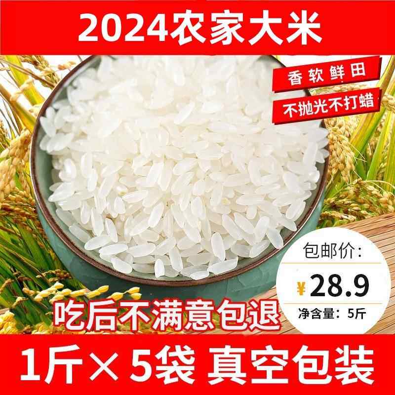 2024年新米内蒙赤峰农家自产长粒稻花香大米粥米二米饭粮真空5斤