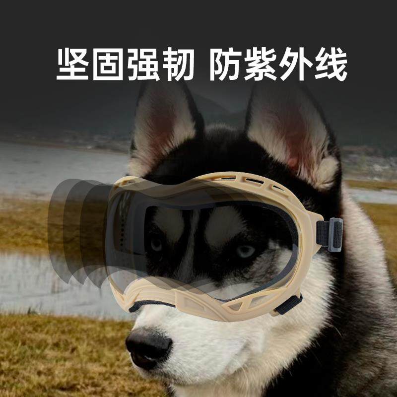 安罗尔宠物变色护目镜防风防沙3021狗狗户外运动眼镜,宠物/宠物食品及用品,宠物眼镜/护目镜,淘宝优惠券,粉丝福利购,淘宝优惠卷