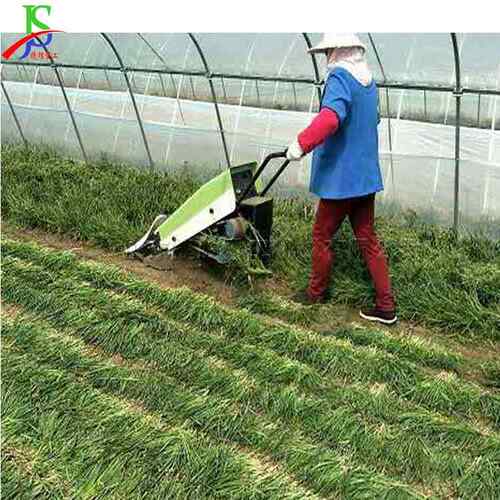 自走式农用韭菜收获机 大棚辣椒收割设备 手扶式小型韭菜收割机