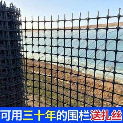山头林村新款加厚塑料围栏网养殖专用网养鸡养鸭防护网隔离网动物