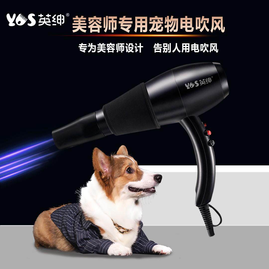 英绅宠物吹风机狗狗猫咪吹水机宠物店用拉毛一体洗澡挂脖电吹风筒