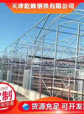 连栋温室大棚厂家施工蔬菜棚农业种植棚连栋薄膜日光暖棚