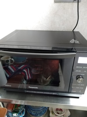 目前看来松下 NN-DS59JB怎么样?用后两个月真心不后悔？