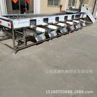 砂糖橘滚杠筛选机工业红枣分级机商用荔枝分选机草莓捡果机