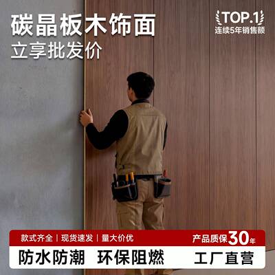 碳晶板护墙板木饰面金属板竹木纤维集成墙板碳岩竹炭无缝装饰墙板