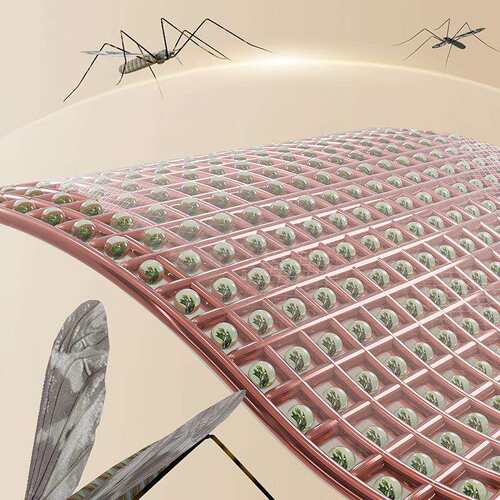 【防蚊门帘2025新款】免打孔磁吸卧室家用入户门纱帘纱门魔术贴款