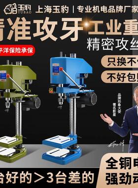 攻丝机大功率重型工业台式攻牙机螺丝攻机小型全自动SWJ-12套丝螺