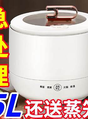 德国迷你电子锅家用智能电饭锅多功能全自动学生宿舍快煮锅不沾锅