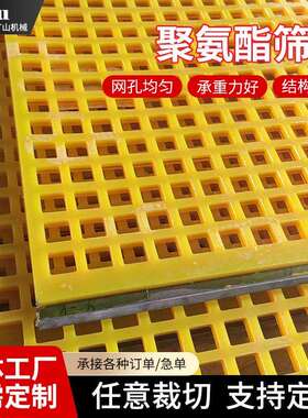 PU脱水筛网筛板聚氨酯筛板振动聚氨酯复合筛板脱水聚氨酯冲孔筛网
