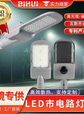 市电路灯 50W 100W 150W LED公园路灯 压铸铝 IP65专利新农村路灯