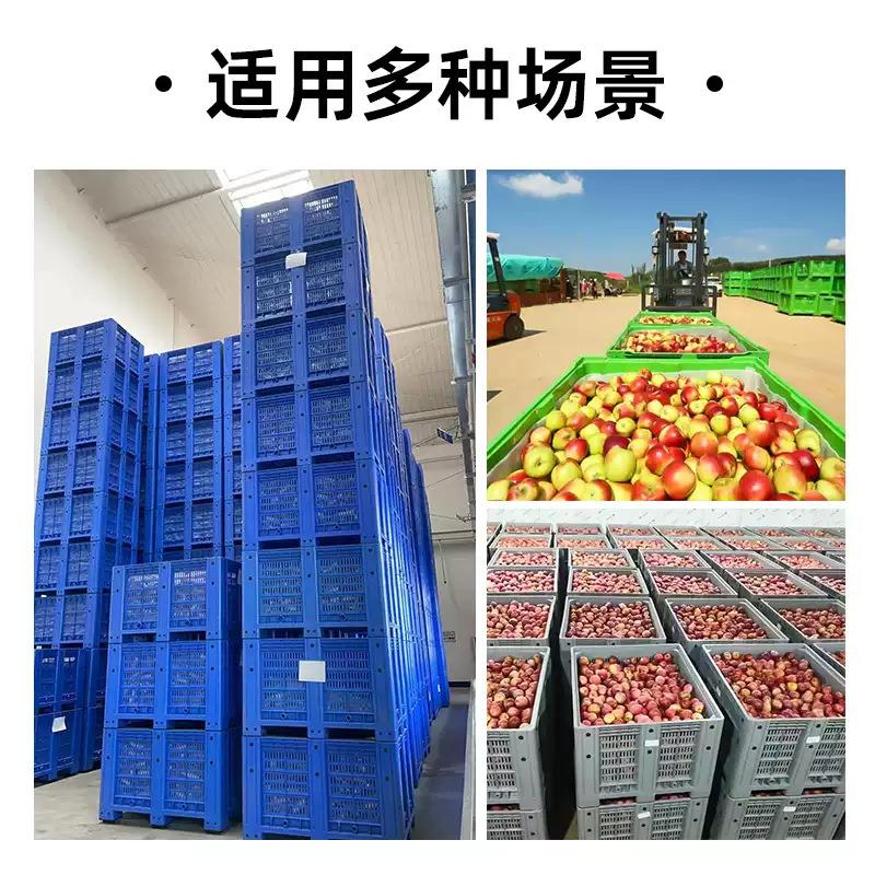 卡格箱YGS大型封闭川字卡板板箱式托盘特大式号叉车周转九脚网卡