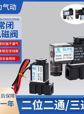 2P025-08 塑料2分 饮水机阀 微型电磁阀 DC24VAC220V常闭二分水阀