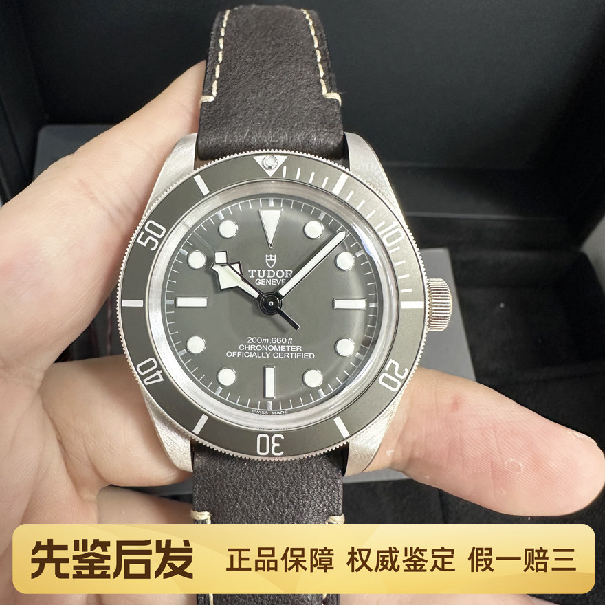 证盒98新全套帝舵碧湾系列925银全自动机械腕表男士手表M79010SG