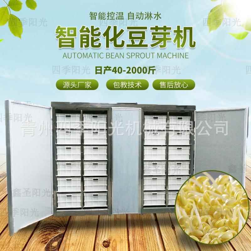 全自动豆芽机商用豆芽机黄豆芽绿特种养殖设备