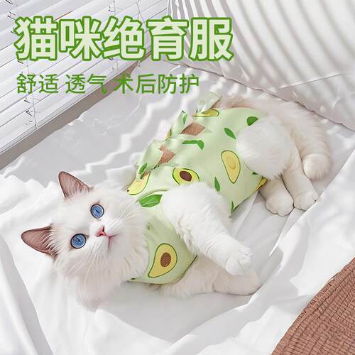 猫咪绝育服宠物绝育服小幼犬断奶服防舔服小狗术后服宠物狗绝育服