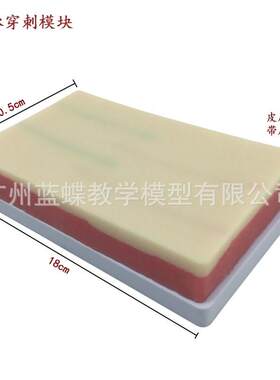 模拟皮肤血管分离结扎静脉注射采血训练模块模型静脉穿刺模块皮下