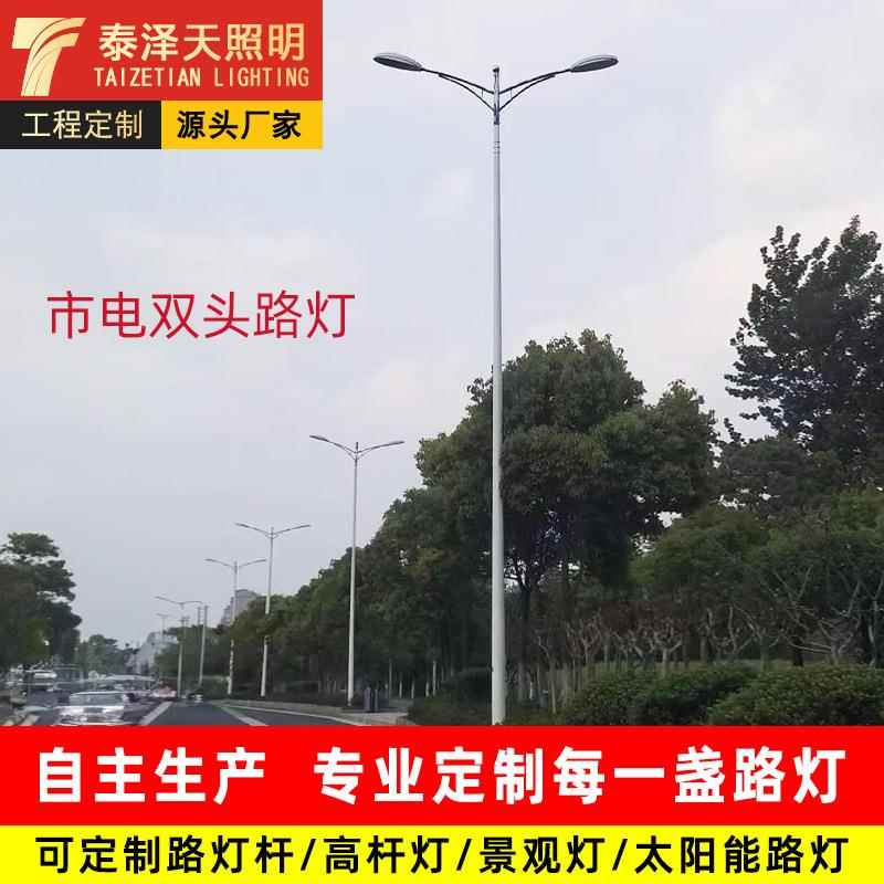 厂家市电路灯8米10米12米灯杆户外模组led市政工程双臂路灯