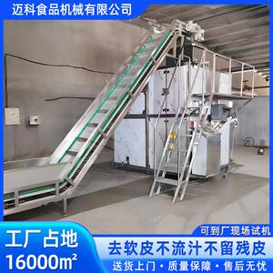 食品厂蒸汽去皮机黄桃马铃薯去皮机农产品西红柿蒸汽去皮机
