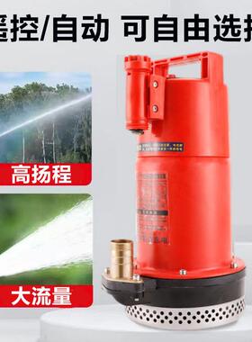 新款充电式动手/控两用刷直流潜水泵YEU12V家农无用无线遥锂电抽