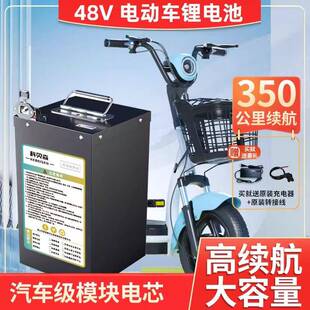 外卖耐用磷酸铁锂电池60V72V48V二三轮电瓶原装 专用大容量