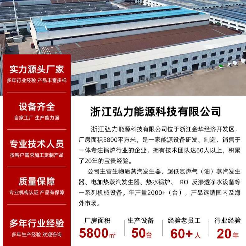 弘力 生物质水汽炉 商用200kg大型蒸汽发生器 全自动蒸气清洗锅炉