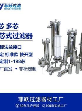 菲跃滤芯式过滤器工业级不锈钢芯式PP多芯式精密保安过滤器厂家