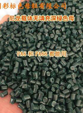 尼龙载体无填充深绿色母22136耐高温尼龙载体无填充深绿色母22136