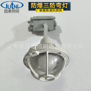 BGL-200S增安型防爆防腐灯化工厂用应急防水防尘弯灯65W80W