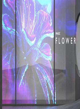 LED Holographic Invisible ScreenLED全息超清P10透明屏显示屏