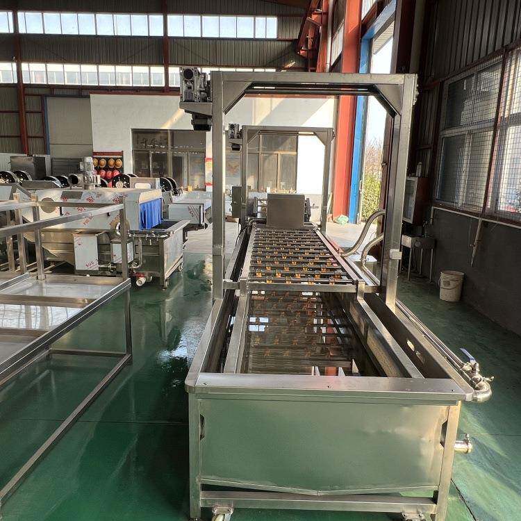 果蔬气泡清洗机辣椒净菜酱菜脱盐全自动清洗清洁机身无死角
