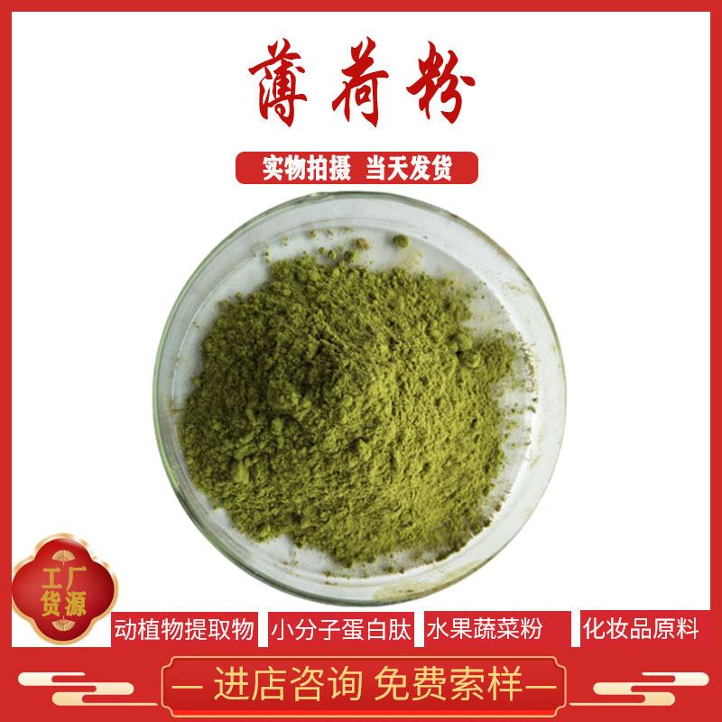 薄荷粉薄荷生粉薄荷叶精粉诸多原粉现货供应全国包邮