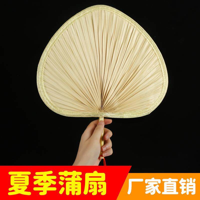 夏草季大蒲扇蒲扇子舞凉快埔驱蚊普蒲浦扑莆扇蹈老式铺小号芭蕉扇