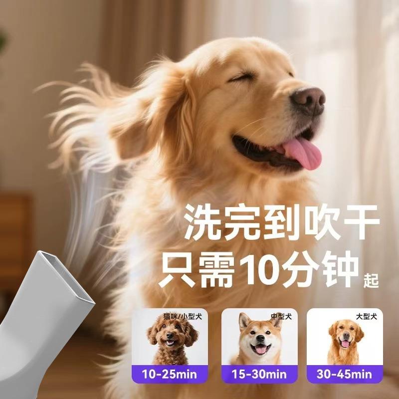 宠物吹水机大功率大型犬专用智能速干吹风机狗狗洗澡吹干神器