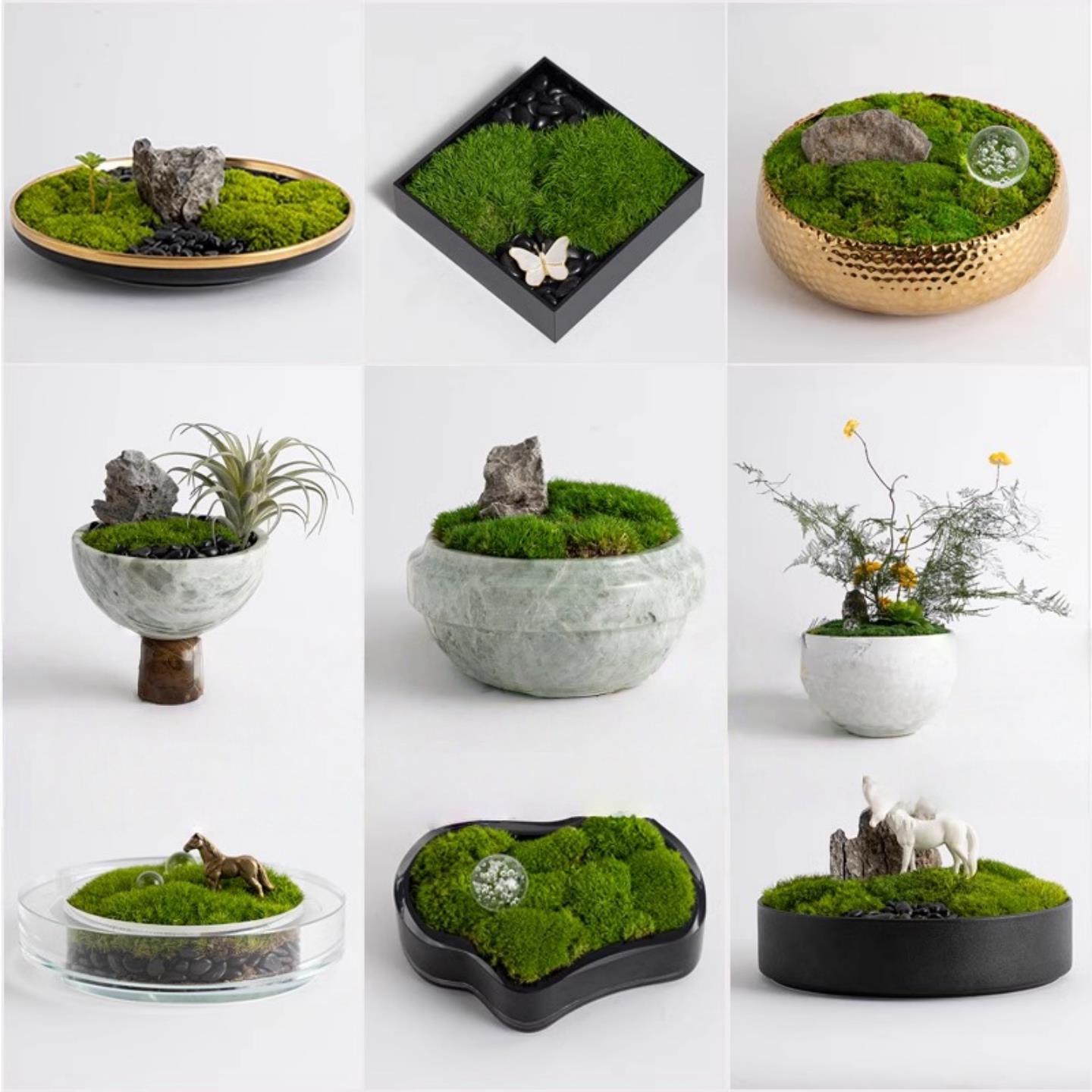 新中式永生苔藓盆景微景观软装饰品洽谈桌餐桌面假花仿真绿植摆件