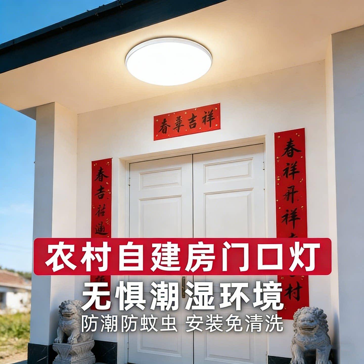 H别墅大门口吸顶灯农村自建房入户门厅室外房檐阳台走廊新中式灯图片