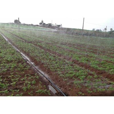 农用滴灌带地插微喷带喷灌带雾化软管接头浇地水管大棚果园灌溉