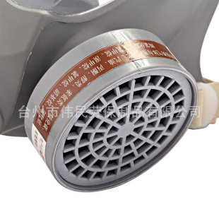 9800A劳保品供应防毒全面罩以勒牌防护面具有机气体和蒸气苯气等