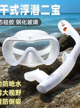 ALOMA成人单镜片全干式防水浮潜二宝浮潜水镜面镜面罩呼吸管套装