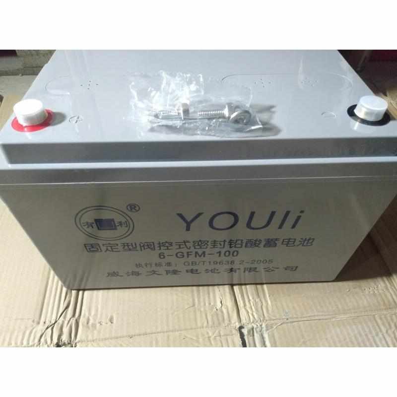 蓄电池6GFM100免维护蓄电池12V100AH UPS直流屏船舶 铁路储能