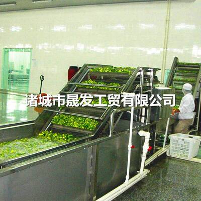鲜姜清洗去皮机整姜高效清洗无需子母分离高压喷淋大姜清洗设备