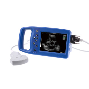 猪羊犬B超机兽用测孕仪器妊娠测量猪比b超机超声波怀孕彩超背标