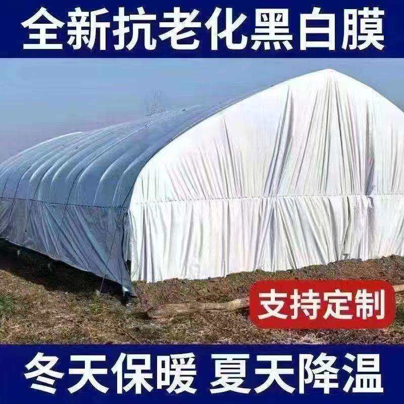 进口黑白膜加厚养殖大棚黑白膜反光隔热膜防晒塑料布食用菌大棚膜