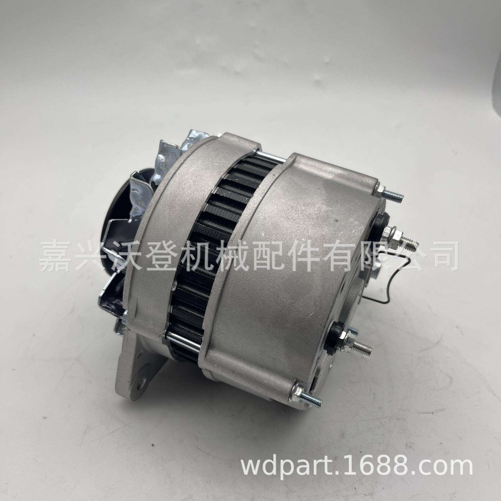 12v发电机 47020056 用于李斯特