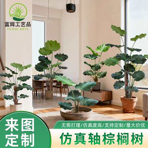 仿真轴棕榈树盆栽绿植室内装饰圆叶轴棕户外造景塑胶假植物轴榈树