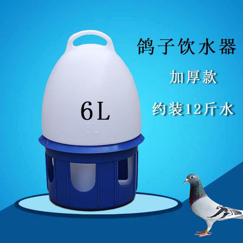 信鸽用品鸽子饮水器水壶鸽子用品用具赛鸽子水槽信鸽水壶自动喂水