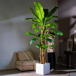 饰仿真花 森艺诚大型仿真芭蕉树植物仿生假树绿植室内客厅造景装