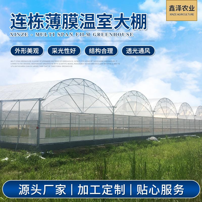 蔬菜水果暖棚薄膜连栋温室大棚简易连体薄膜温室大棚建设