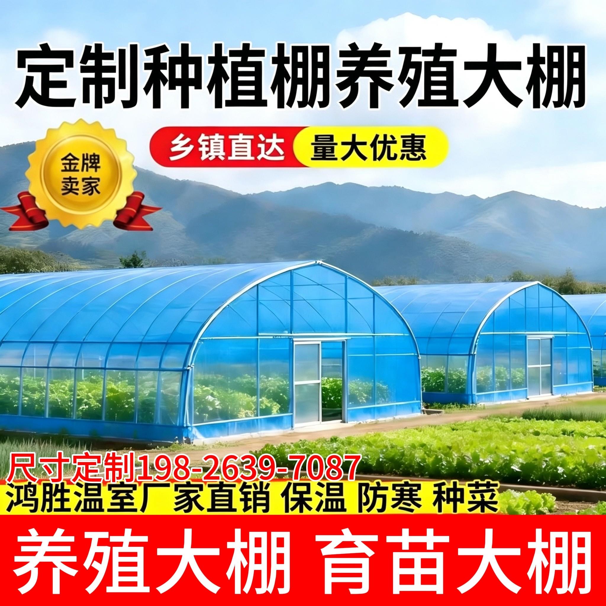 温室大棚骨架钢管养殖种植家用全套猪鸡舍钢架连栋大棚简易蔬菜棚