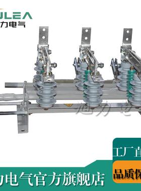 GN24-12D/630高压隔离开关侧装式带面板
